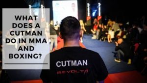 Read more about the article Everything You Want To Know About MMA Cutmen
