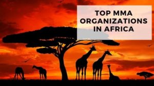 Read more about the article Top MMA Organizations In Africa