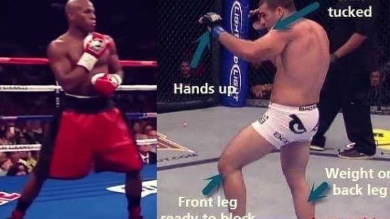 Best Striking Style for MMA: Muay Thai or Boxing?