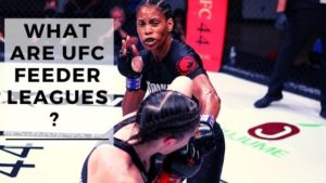 Read more about the article What Are UFC Feeder Leagues?