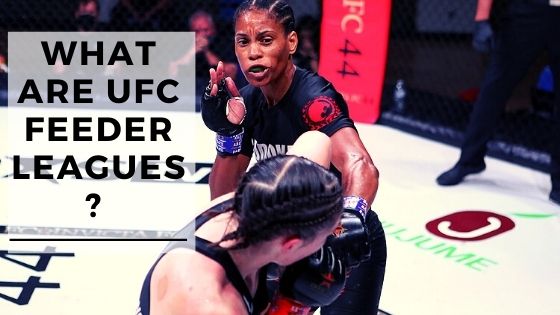 What Are UFC Feeder Leagues?