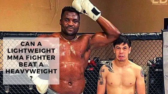 You are currently viewing Can A Lightweight MMA Fighter Beat A Heavyweight?
