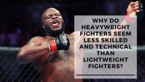 Read more about the article Are Heavyweight Fighters Less Skilled Than Lightweights?