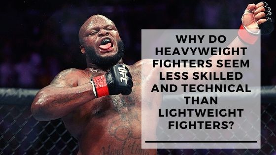 You are currently viewing Are Heavyweight Fighters Less Skilled Than Lightweights?