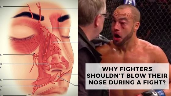 You are currently viewing Why Fighters Shouldn’t Blow Their Nose During A Fight?