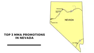 Read more about the article Top 3 MMA promotions in Nevada