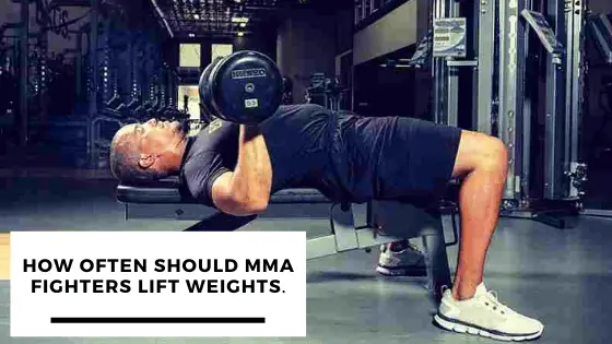 You are currently viewing How Often Should MMA Fighters Lift Weight?