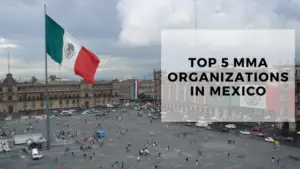 Read more about the article Top 5 MMA Organizations in Mexico