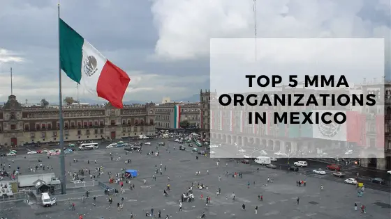 Top 5 MMA Organizations in Mexico