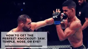 Read more about the article How To Get The Perfect Knockout: Jaw, Temple, Nose, or Eye?
