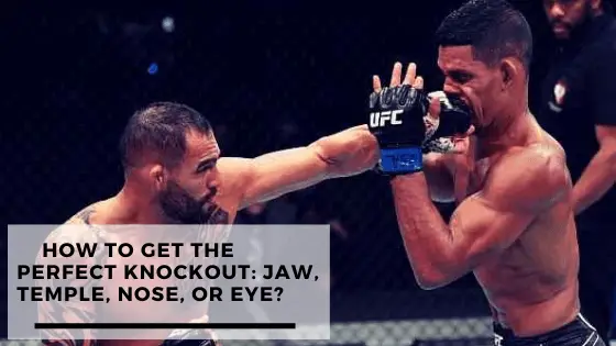 You are currently viewing How To Get The Perfect Knockout: Jaw, Temple, Nose, or Eye?