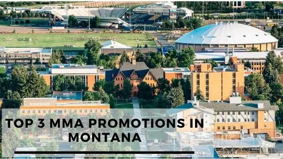 You are currently viewing Top 3 MMA Promotions In Montana