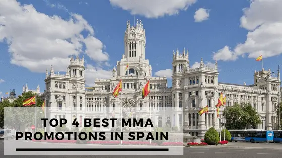 You are currently viewing Top 4 MMA Promotions in Spain