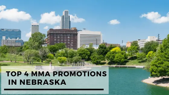 You are currently viewing Top 4 MMA Promotions In Nebraska