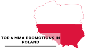 Read more about the article Top 4 MMA Promotions In Poland