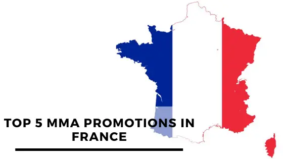 You are currently viewing Top 5 MMA Promotions In France