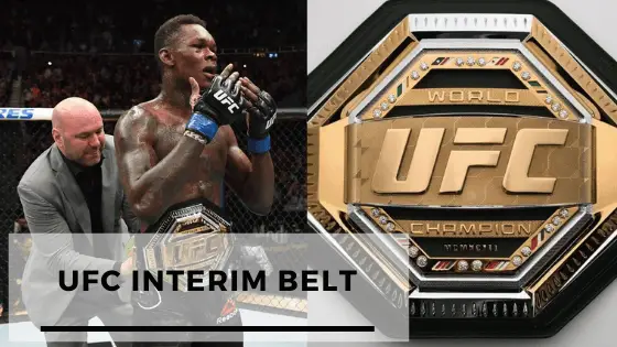 Every Question You Have About UFC Interim Belts