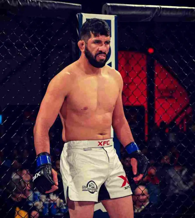 Top 4 MMA Promotions in Michigan MMA Panda