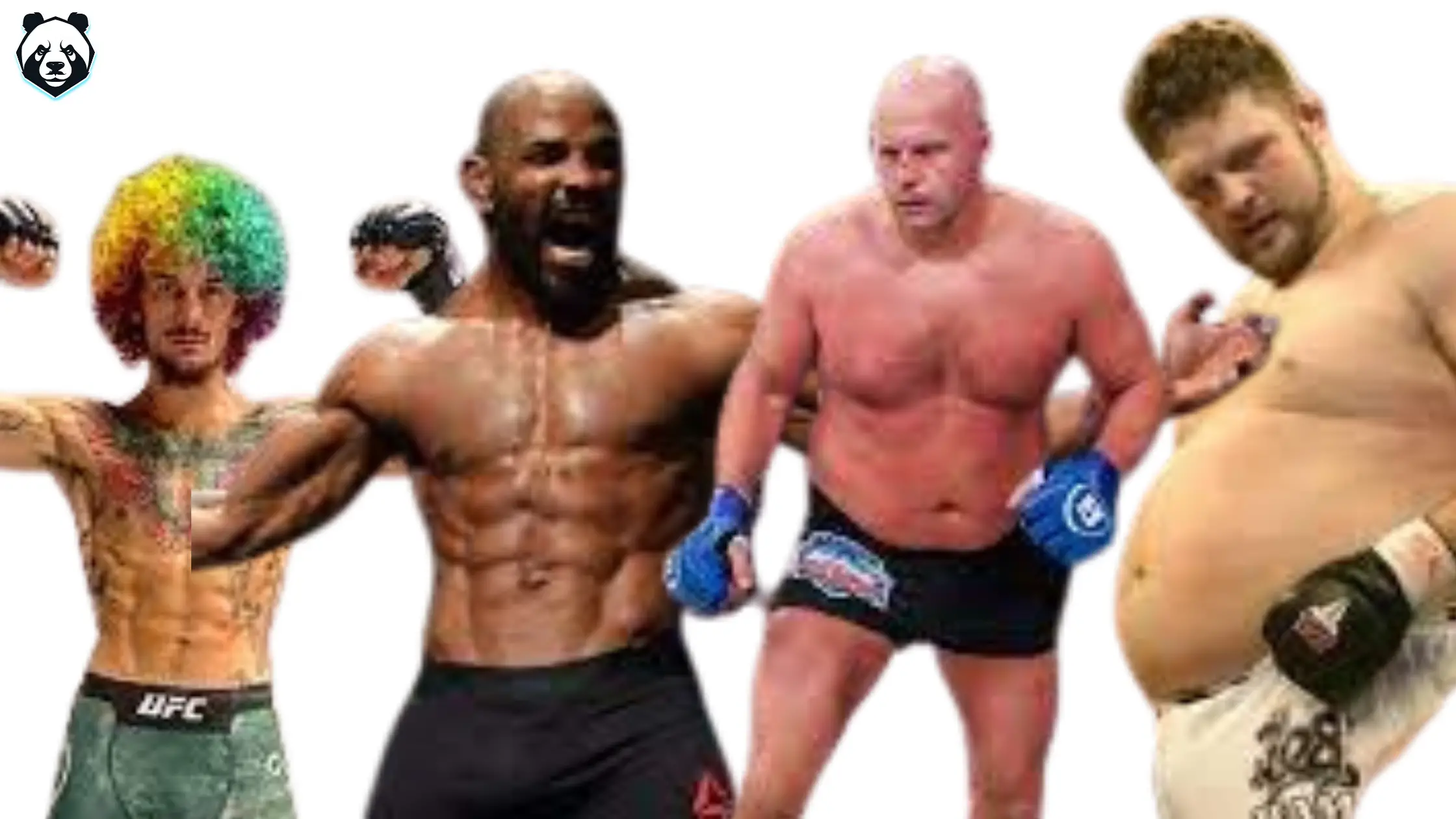 Read more about the article What Is The Best Physique For MMA?