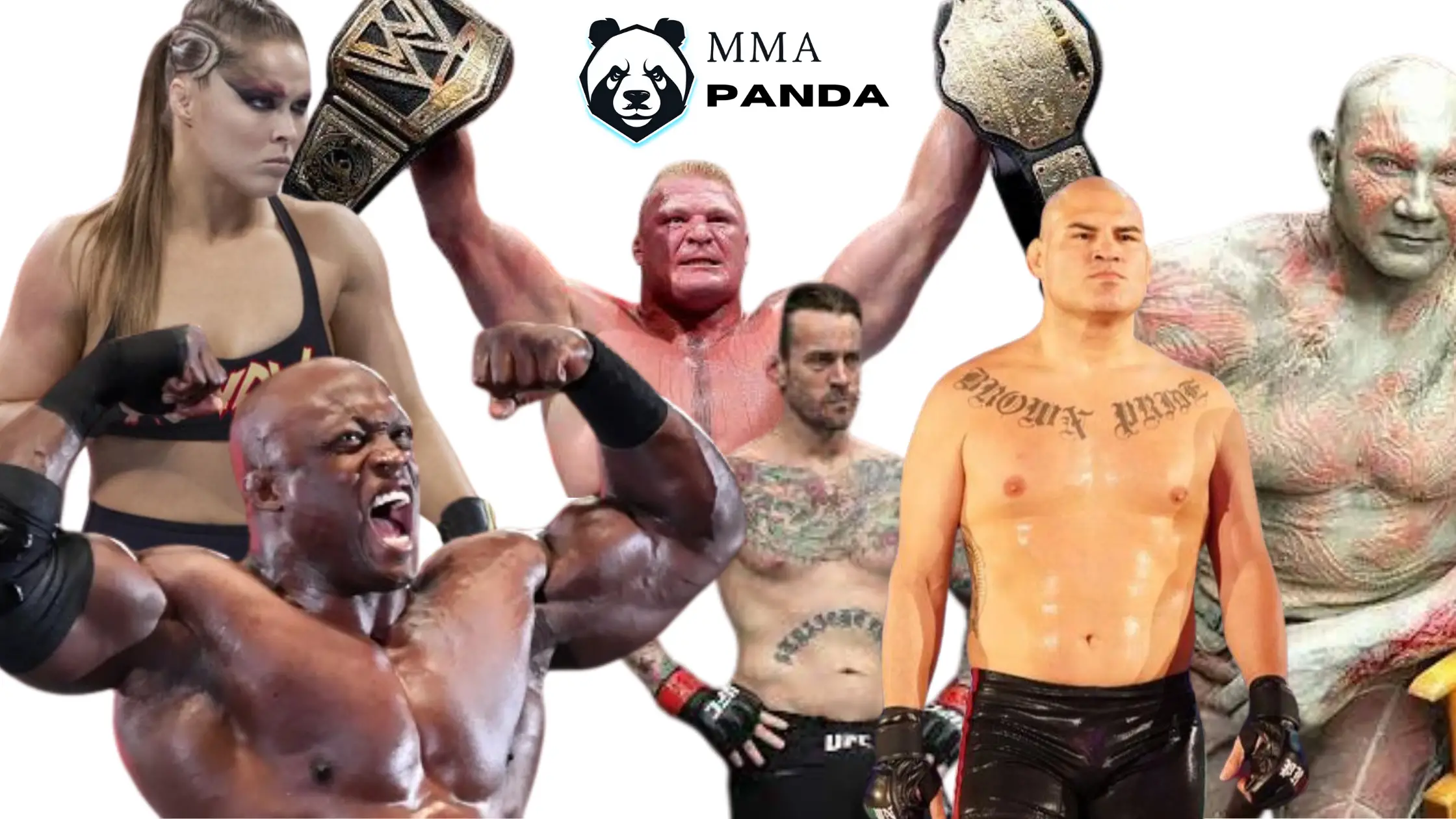 Read more about the article 6 WWE Wrestlers Who Fought In MMA