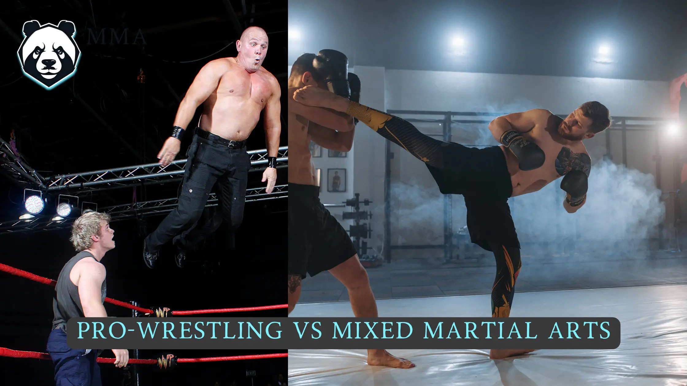 Read more about the article 5 Reasons Why MMA Is Better Than WWE (Pro-Wrestling)